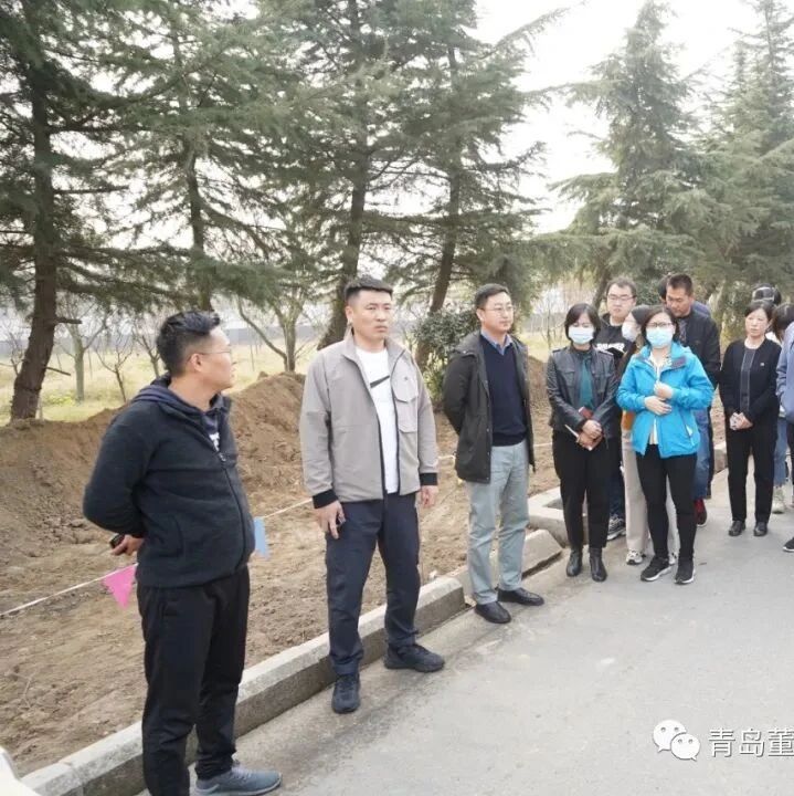 青岛董家口城市建设投资有限公司组织重点工程项目现场观摩会