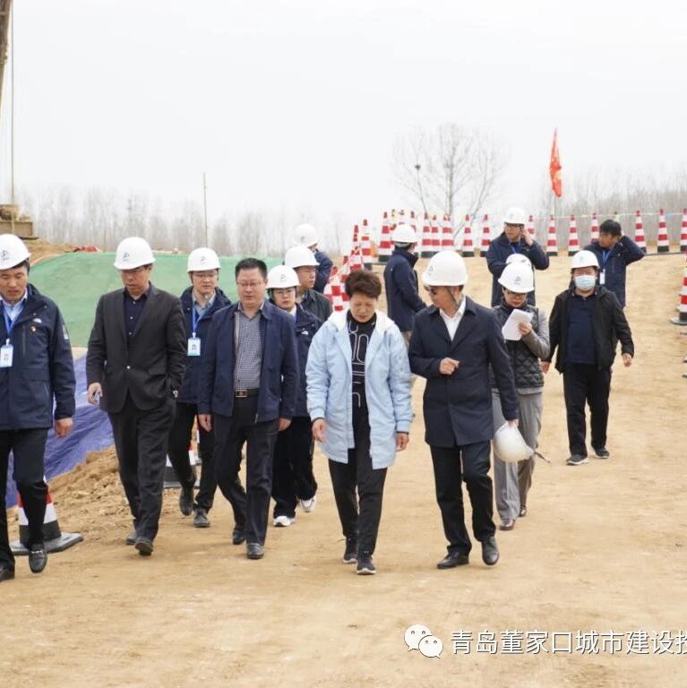 市人大常委会有关领导来泊里镇监督核查重大基础设施项目建设情况