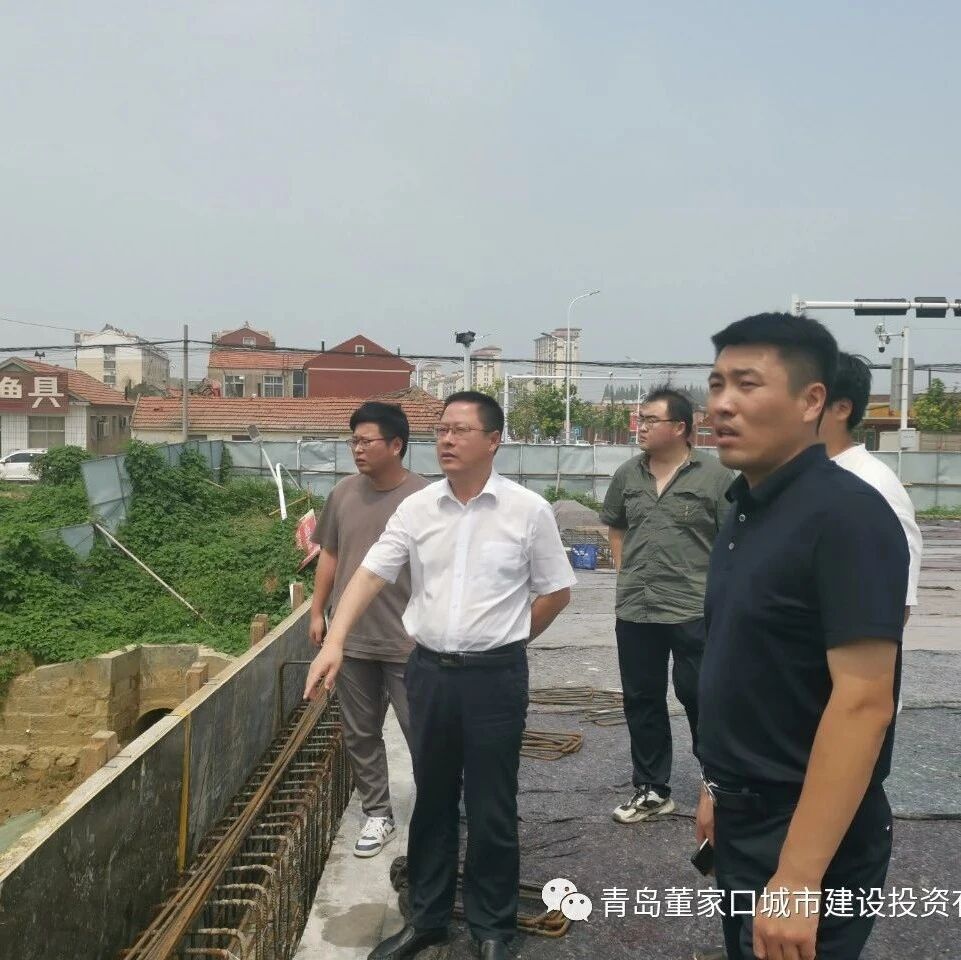 青岛董家口城市建设投资有限公司 例行工作巡查