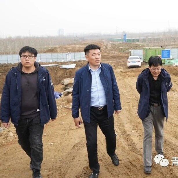 青岛董家口城市建设投资有限公司工作巡查