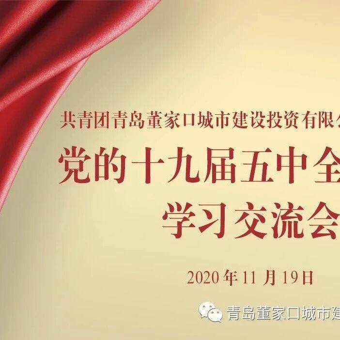 董城投团支部开展学习党的十九届五中全会精神活动