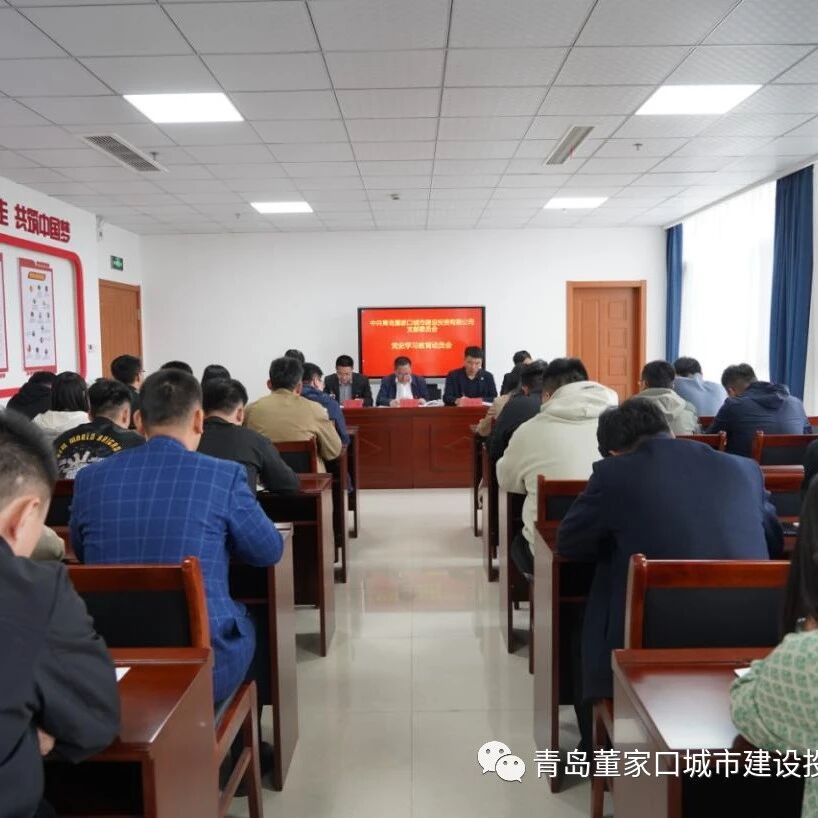 中共青岛董家口城市建设投资有限公司支部委员会 召开党史学习教育动员会议
