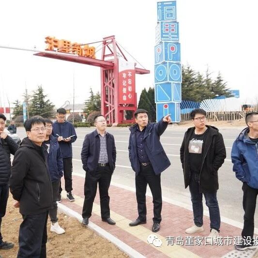青岛董家口城市建设投资有限公司 例行工作巡查
