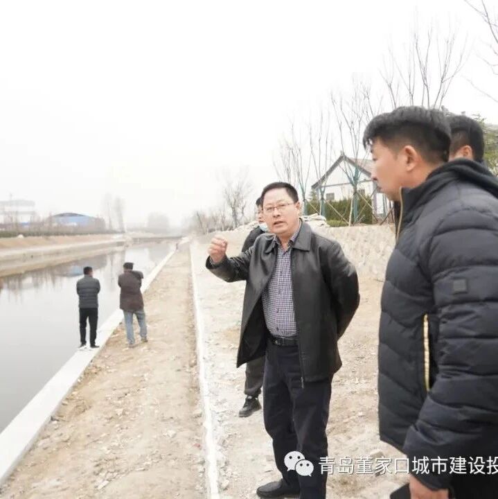 青岛董家口城市建设投资有限公司开展重点工作推进巡查