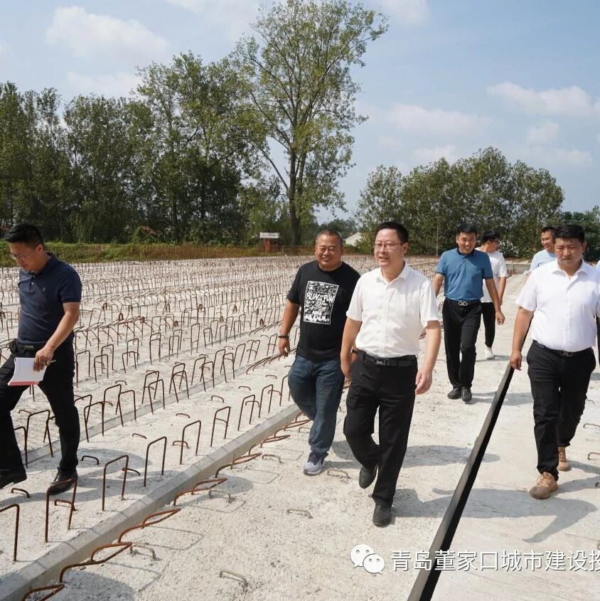 青岛董家口城市建设投资有限公司工作巡查
