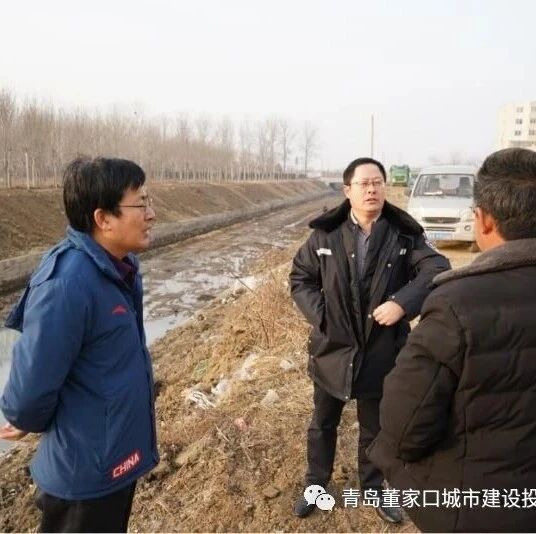 青岛董家口城市建设投资有限公司 例行工作巡查