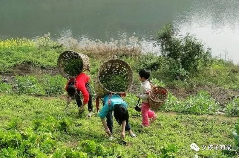 这个女人，从打工妹到百亿富翁，最终嫁给了个司机