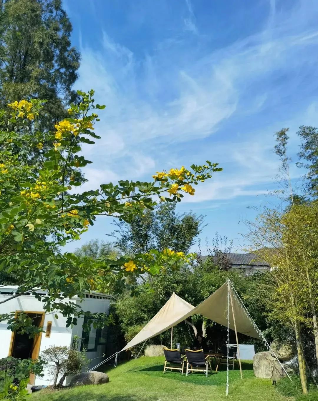 千柏地板_柏逸木地板_柏爾雅地板是幾線(xiàn)品牌