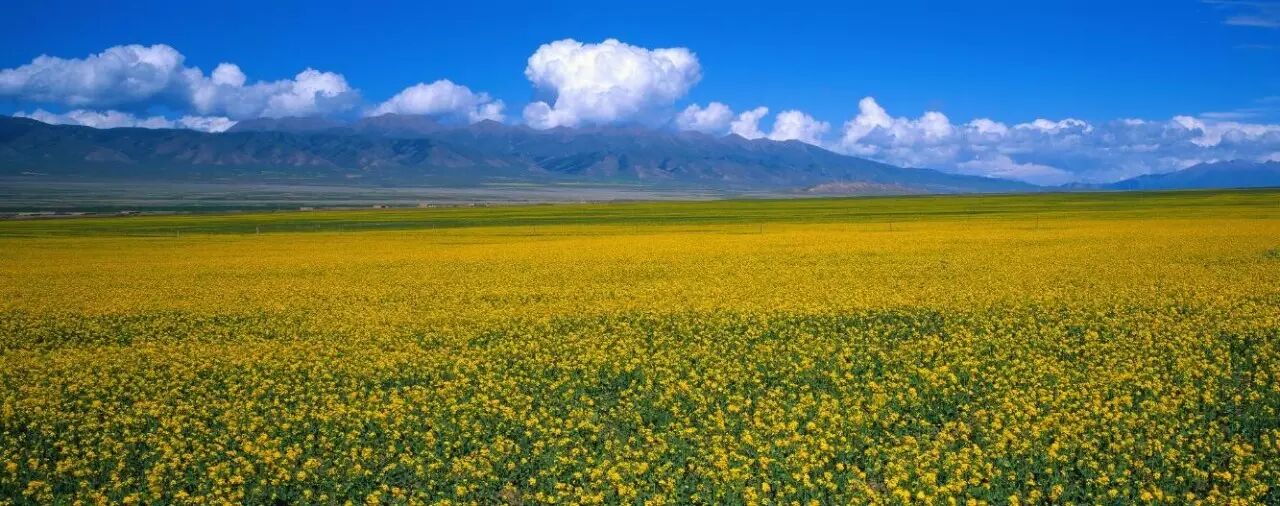 盘点金昌周边最有意思的农家村,给你最向往的田园生活