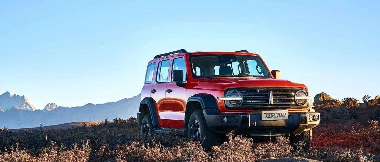 你，是不是坦克300的目标用户？