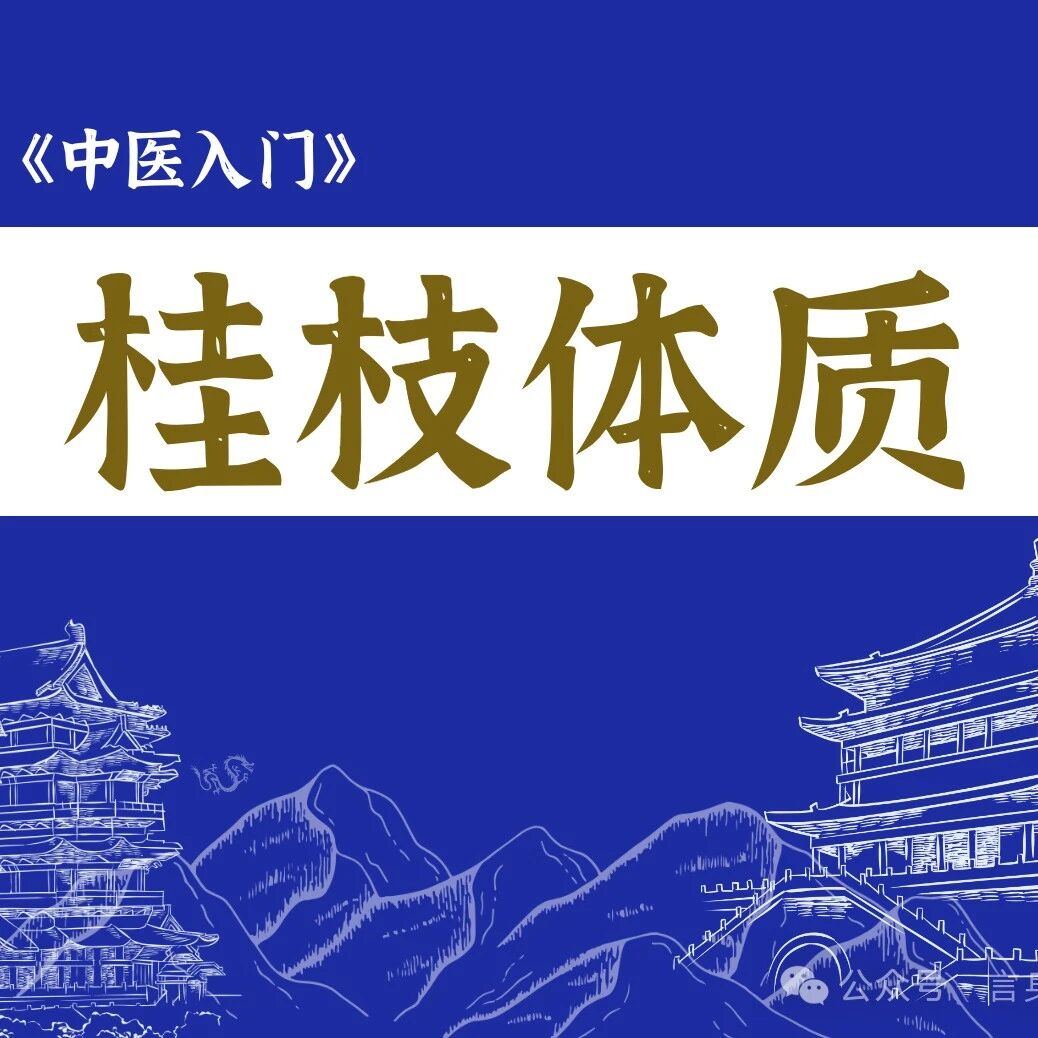 中医所讲的桂枝体质