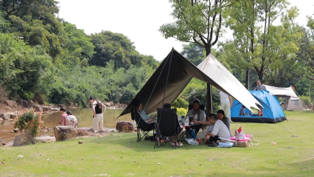 △图源 肇庆高新发布、肇庆高新区广播电视中心