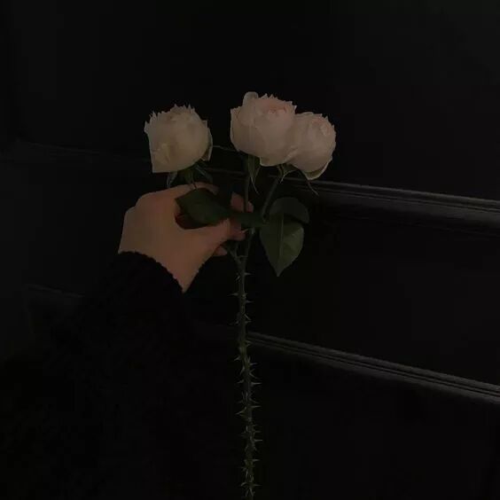 恋爱中，这4句话要少说。