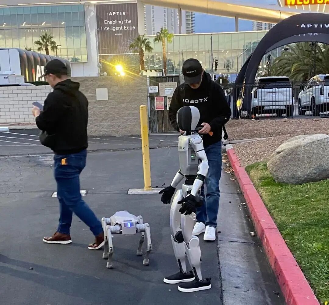 There are some robots hanging out in our hotel parking lot.