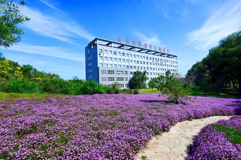 大连中软国际上班前培训是骗局么_大连中软卓越信息技术_大连中软卓越计算机培训中心