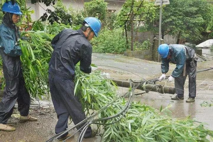 那些年我們一起抗過的台風：哪有什麼信號滿格，不過有人替你冒雨逆行 科技 第5張