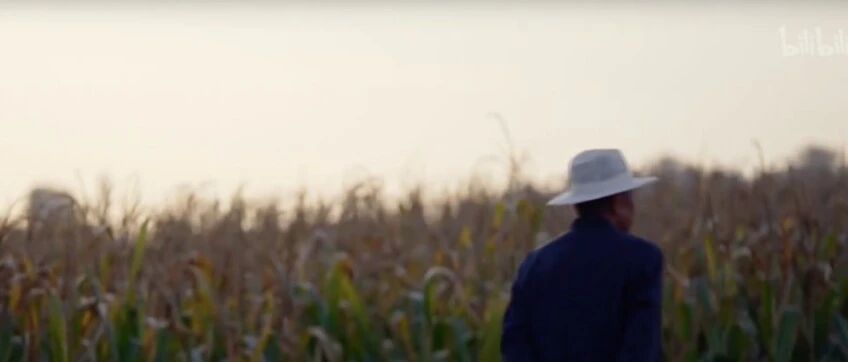 被全网骂，到底冤不冤？