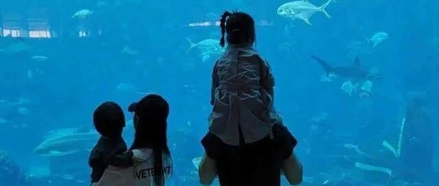 突然离婚？这些细节可能早就写好了结局