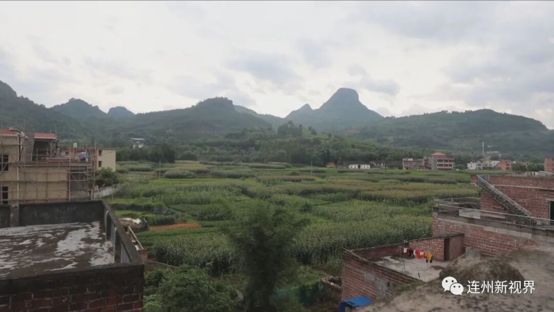 决战决胜脱贫攻坚| 精准扶贫让这位单亲妈妈重燃生活希望 - 连州门户