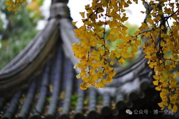 生物女生適合工程學嗎_生物女生適合工程學專業嗎_生物工程適合女生學嗎