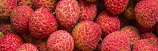 生化仪怎么定标皖北煤电集团总医院_https://www.jmylbn.com_新闻资讯_第10张