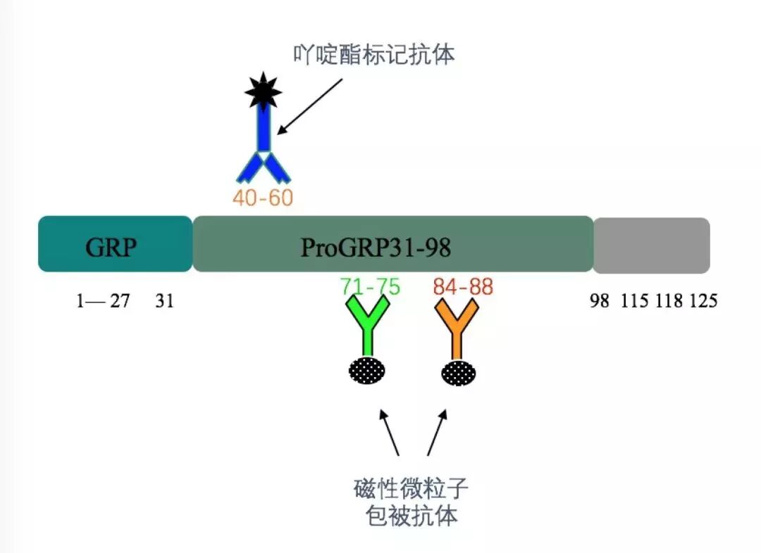 ProGRP兼容发光试剂，岂止替代，而是更好
