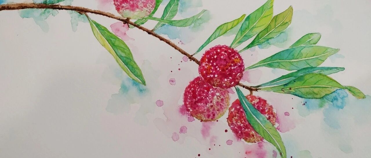 【一起画水彩】酸酸甜甜,是五月杨梅的滋味