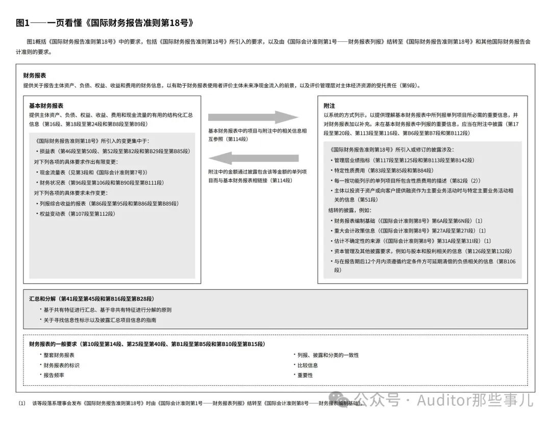 IFRS 18 说明性示例 图1 中文版