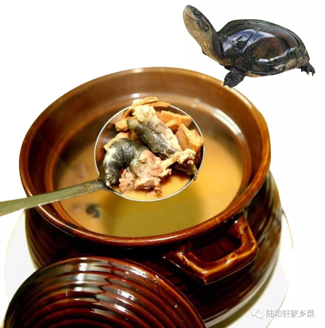 舌尖上的陆和轩家乡菜