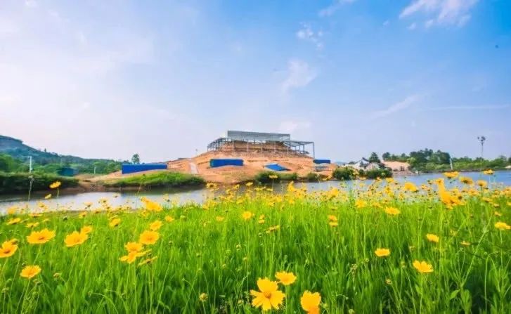 安吉竹林雲海神仙度假！解鎖稻田古跡畔公園騎行&​果蔬采摘，周末家庭遊首選！ 旅遊 第2張