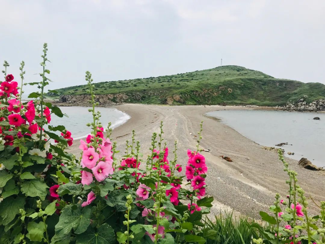 海島大亨4旅游攻略_東南亞海島旅游攻略_大連海島旅游攻略