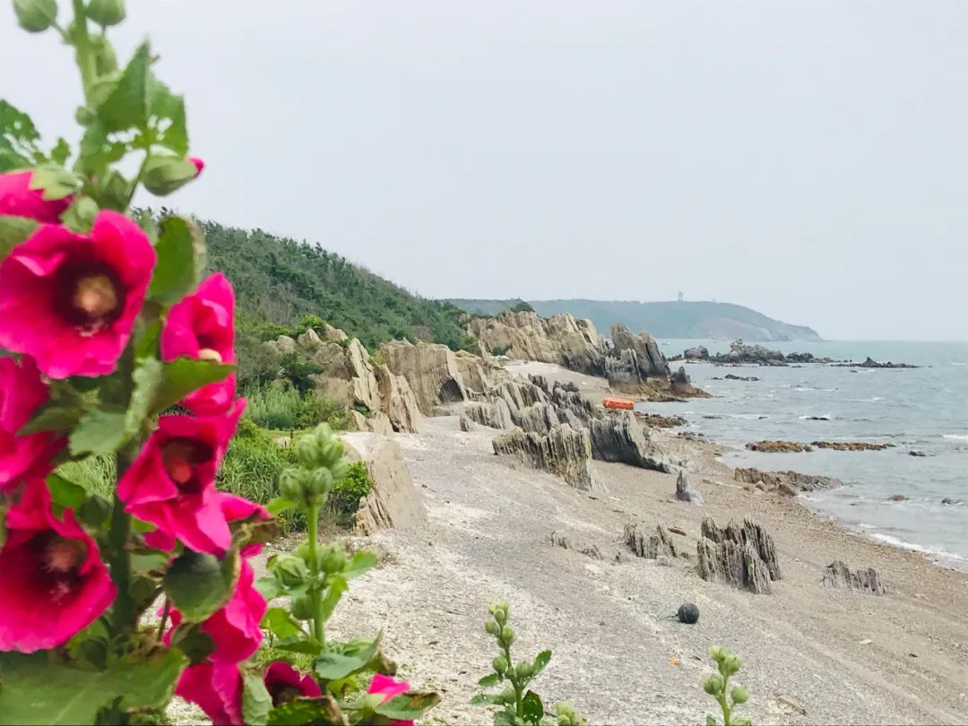 東南亞海島旅游攻略_海島大亨4旅游攻略_大連海島旅游攻略