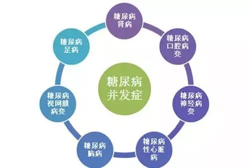 【生酮治療】科學認識糖尿病與生酮飲食 健康 第4張