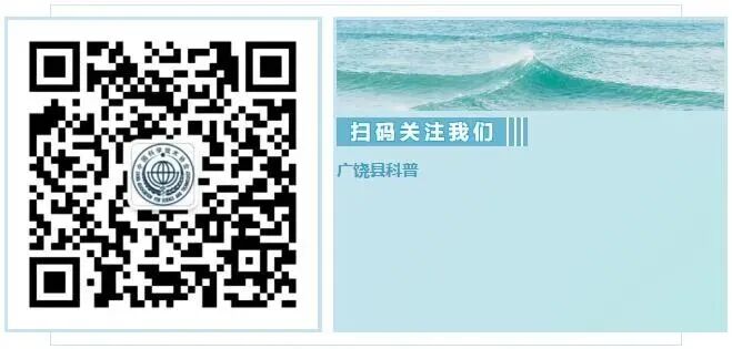 【科创筑梦 少年风采】广饶县青少年科技小发明小制作及科幻画大赛优秀作品展播