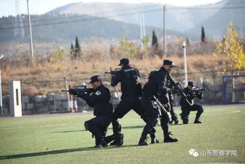 山東警察學院招生信息網_山東警察學院招生網_山東警院招生信息平臺