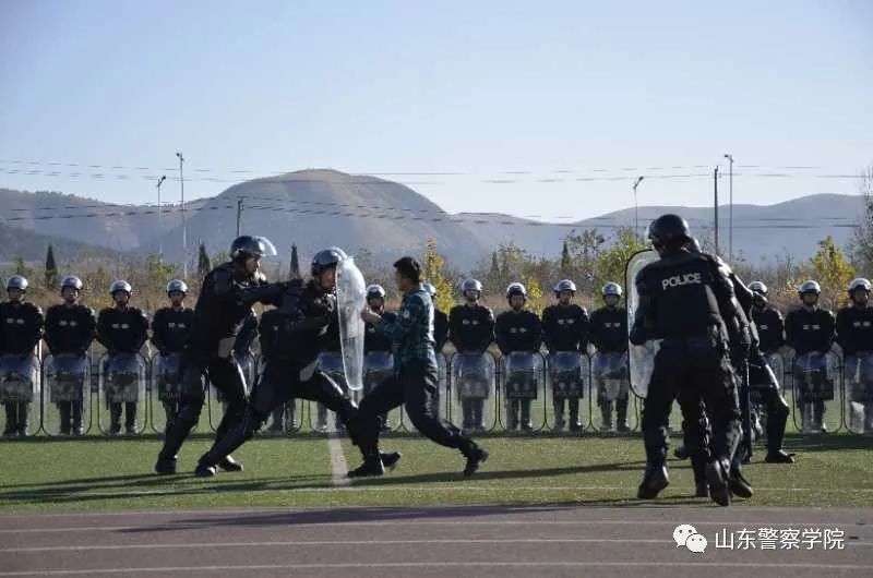 山東警院招生信息平臺_山東警察學院招生網_山東警察學院招生信息網