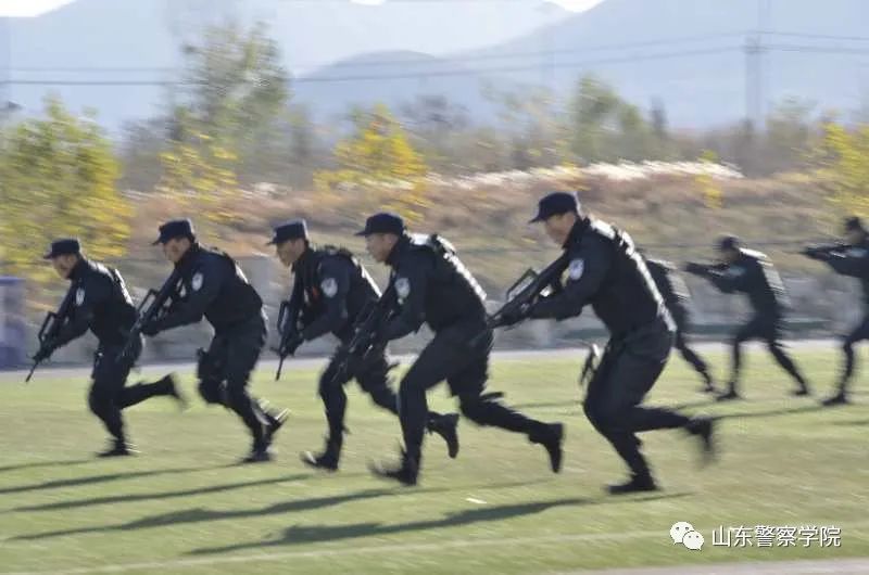 山东警察学院招生网_山东警院招生信息平台_山东警察学院招生信息网