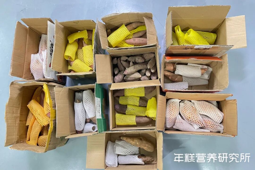 医用海藻棒怎么取建议两餐之间给娃吃点它！这几种食物营养高，娃吃了身体棒棒的_https://www.jmylbn.com_新闻资讯_第148张