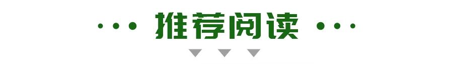 青学纪留学平台如题：中介水很深，那么推荐中介的机构，简直是中介，那水不是了？