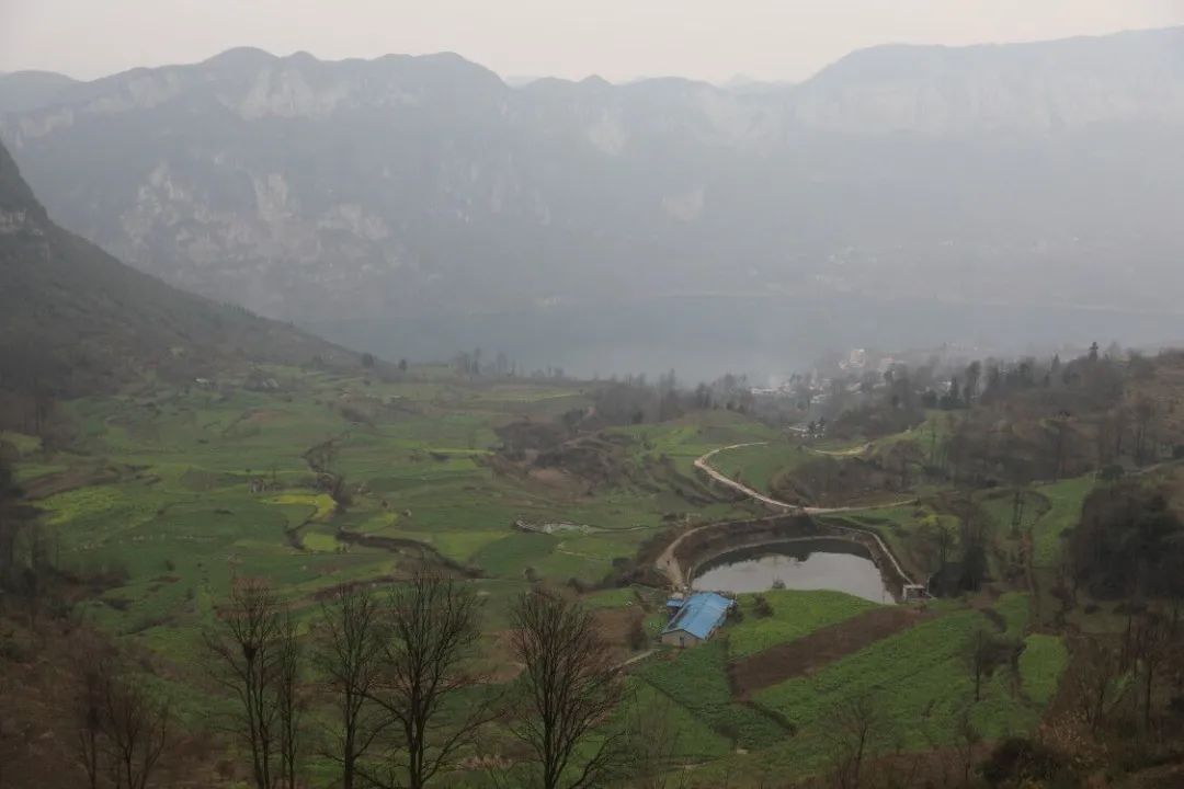 作为清镇市第一批乡村振兴示范乡镇之一的新店镇,在做好保护和发展大