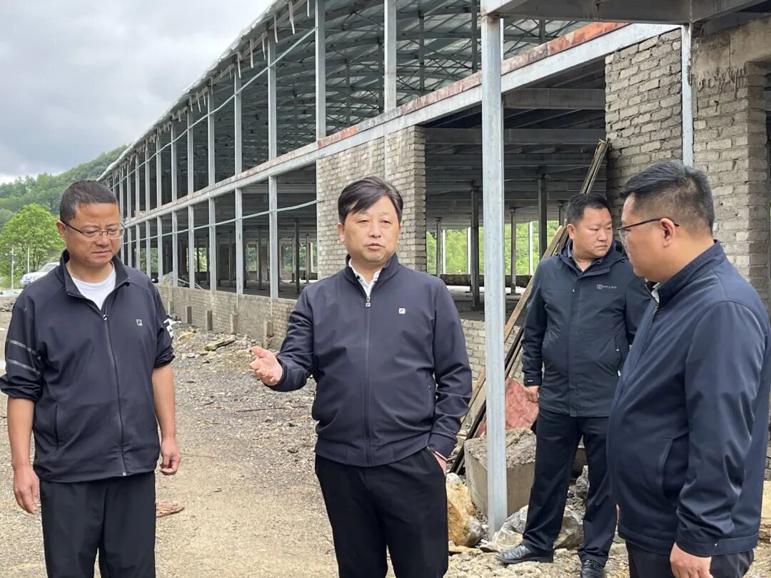 吴永康在新店镇调研