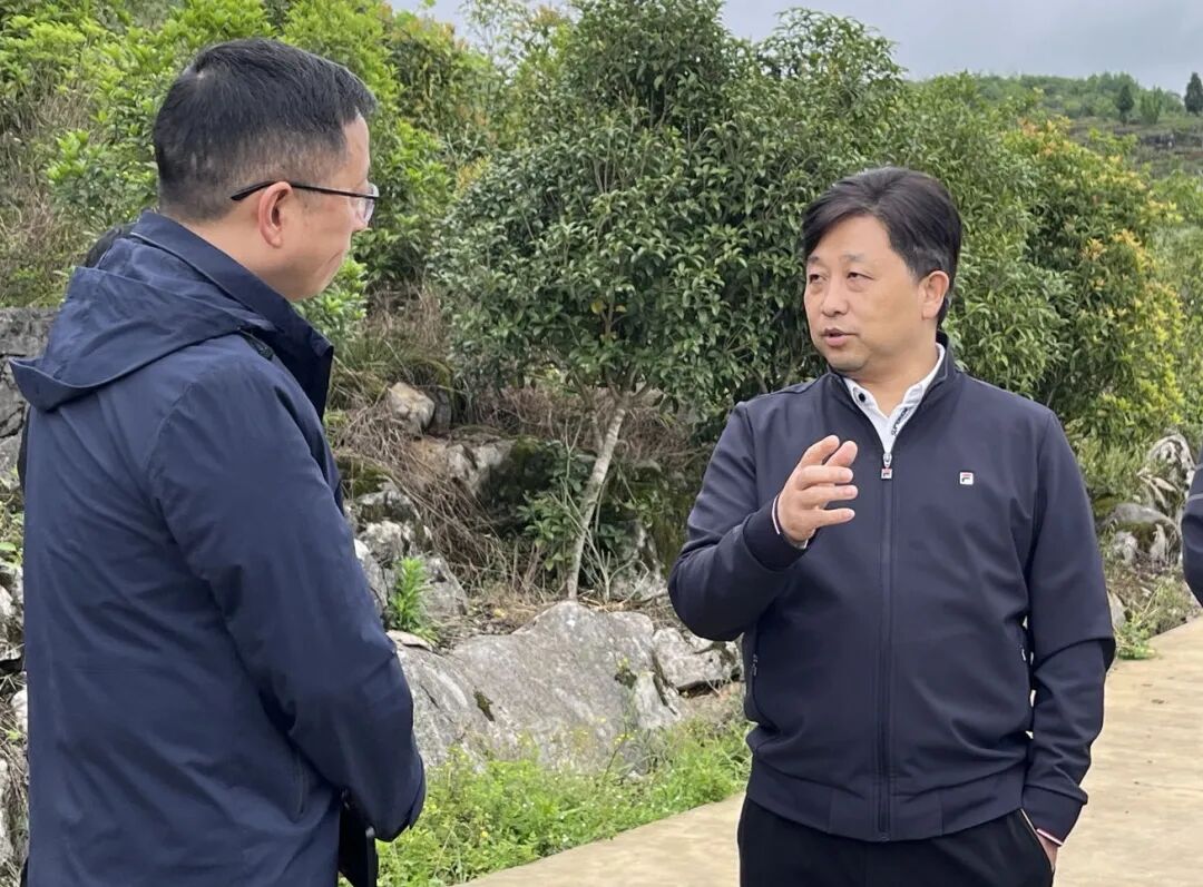 吴永康在新店镇调研