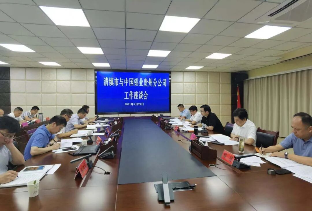市委常委,常务副市长肖振能,副市长周健,杨溢,中国铝业贵州分公司相关