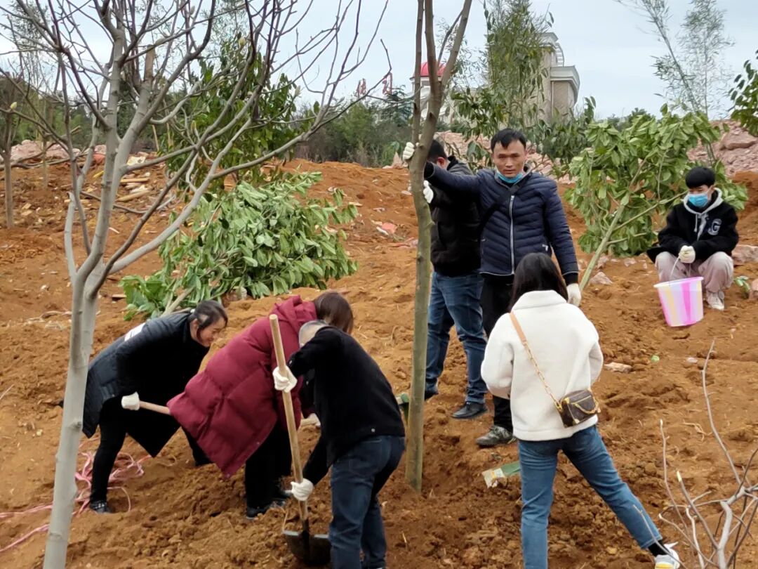 67清镇市开展2021年义务植树活动