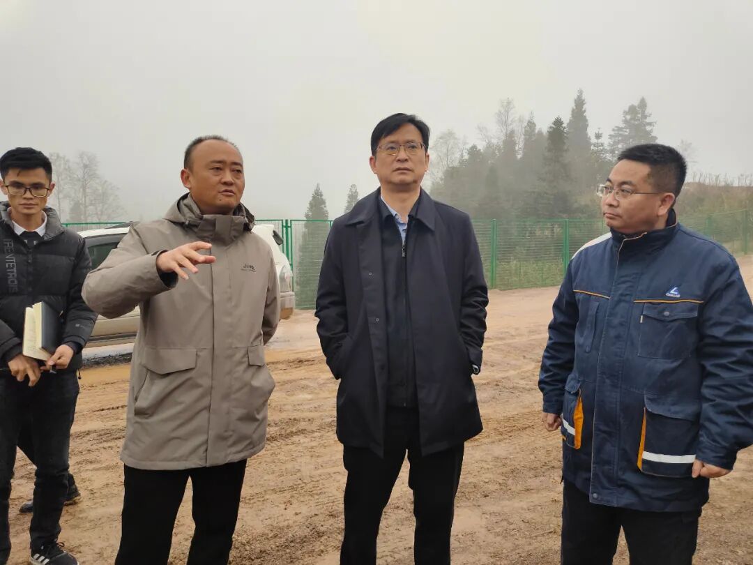 清镇市委书记付涛从严从紧扎实推进交办信访案件办理奋力在生态文明