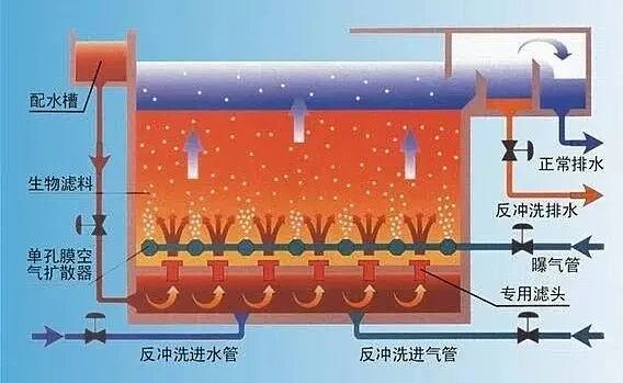 AO工藝、A2O工藝、MBR工藝、SBR工藝、曝氣生物濾池五種常見工藝分析！的圖4