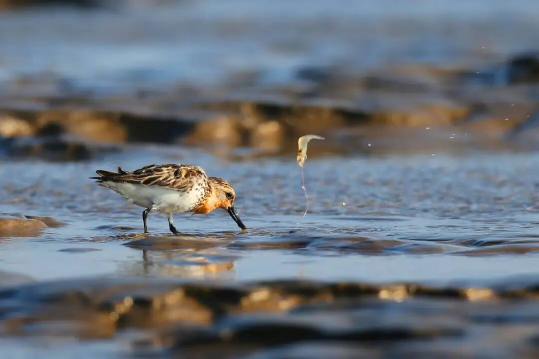 李东明 (2)(1).jpg