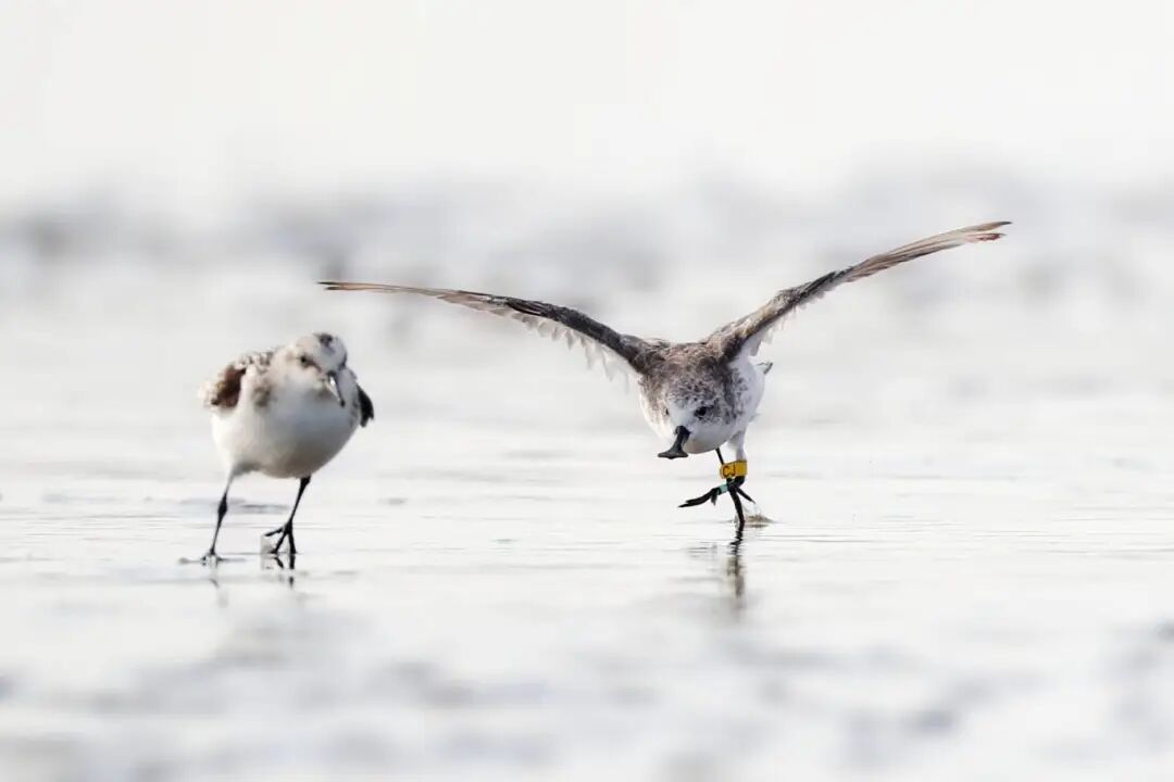 李东明 (1)(1).jpg