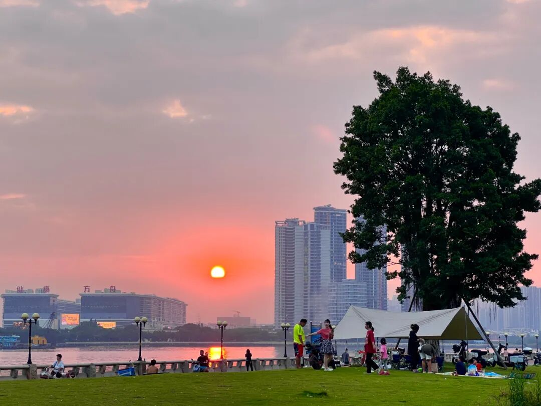 单价6字头，海珠中海观澔府119㎡~126㎡，最新价格是多少？