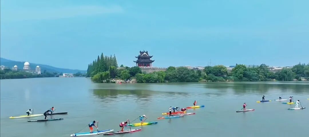 gore医疗怎么样TAMBE重塑复杂主动脉瘤治疗格局的技术解析_https://www.jmylbn.com_新闻资讯_第2张